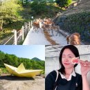 소도길 | 당일 기차여행 가는가을 강원도 태백 여행 통리탄탄파크 동굴