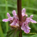 진남역 앞 이미지