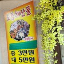 설화손짜장 | 마라도에서 짜장면 맛집을 찾아라! - 마라도 해녀촌 (tip. 짜장면 먹고 마라도 돌아보는 소요시간 후기)