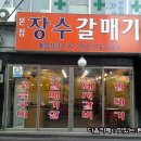 장수갈매기 이미지