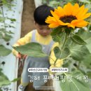 중식농장 | 부산 근교 주말아기랑 갈만한곳 김해 플라워팜팜 체험 농장
