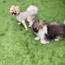 씻을개 이미지