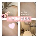 트로이아르케 명동점 | 종로 명동 여드름관리 스킨피아 등 여드름 압출 케어 후기