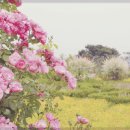 하곡농장 이미지