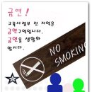 비성식당 Daum카페