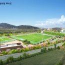 부강생활체육공원 이미지