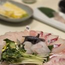 바다실비 이미지