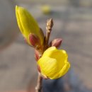 개나리아파트 놀이터 이미지