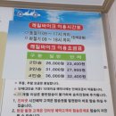 안성리-6 | 아이와함께 여수 가족여행, 여수 해양 레일바이크 타고 만성리 검은모래해변 다녀온 후기