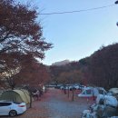 예그리나 B 이미지