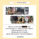 루시N헤어 이미지