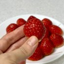 논산유치원 | 논산딸기 류권호농원 산지직송 겨울 설향딸기 후기