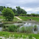 송산공원 이미지