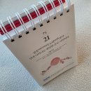 일력 - 영등포구 여의도 | 초등맘 서평 《고정욱의 꿈일력 365》 후기