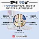 더비채