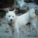 대덕농장2 이미지