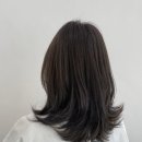 헤어(HAIR).다올 이미지