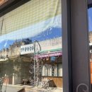 소보리애 이미지