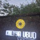 당항 | 발리 우붓 &#39;Cretaya Ubud - 크레타야&#39; 입장료 및 꿀팁 아쉬움이 남는 솔직후기
