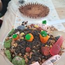 광선초교병설유치원 이미지