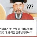 목화반점 이미지