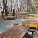 숲속쉼터 이미지