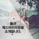 에스마리의원 네이버블로그