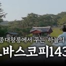 노바뮤직