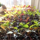 하임농장 이미지