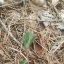 동의보감민박 이미지