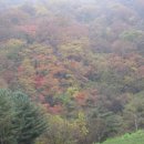 상균농장 이미지