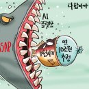 1135 한국보험신문