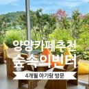 빈터 | 양양카페추천ㅣ양양 숲속의빈터 아기랑 방문 후기