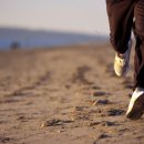 동양자동차종합정비 이미지