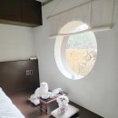 관광 꿈꾸는숲 펜션 | 청도 애견동반 숙소 강아지 한옥 감성 독채 애견펜션 풀빌라