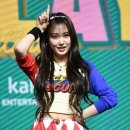 포토조아 이미지