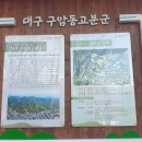 대구구암동고분군 팔거산성 탐방안내소 이미지