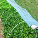 부식농장 이미지