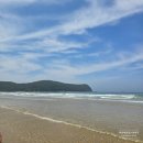 신두리해수욕장 | 당일치기 태안 신두리해수욕장 + 나는솔로 촬영지 신두리식당 다녀온 후기