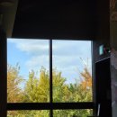 모두다 | 2025 스타벅스 크리스마스 프로모션 프리퀀시 미션 음료 5종 모두 다 먹어본 후기