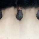 미사바이오포톤 이미지