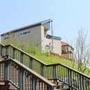 덕진-117 이미지