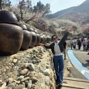 더사랑의교회  삼거리 | 광양 매화 축제 2026 만개 실시간 후기｜평일 방문 신의한수 (비 오기 전 꼭 가세요)/매화하동벚꽃...