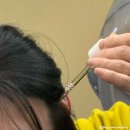 행복한애견미용실 | 상암동 미용실 두피관리 두피스케일링 애견동반 가능 더채움헤어