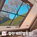 [경남캠핑]합천 해피캠핑장 #봄캠핑 #벚꽃캠핑 #뷰맛집