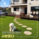 막사발펜션2 | 강화도 애견동반펜션 사랑옵다 서울 근교 프라이빗 독채 숙소