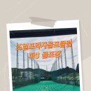 조일프라자 골프클럽 이미지