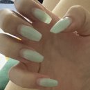 나미네일 | 260622-28 고양이 건강검진 비용 후기 I 훈훈수산 이모카세 제주 순살 은갈치조림 내돈내산 I 고양이와...