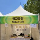 [강원/철원] 2026 디엠지 피스트레인 페스티벌 후기 🚂🕊️