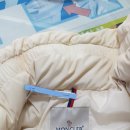 빨래터명품세탁소 이미지